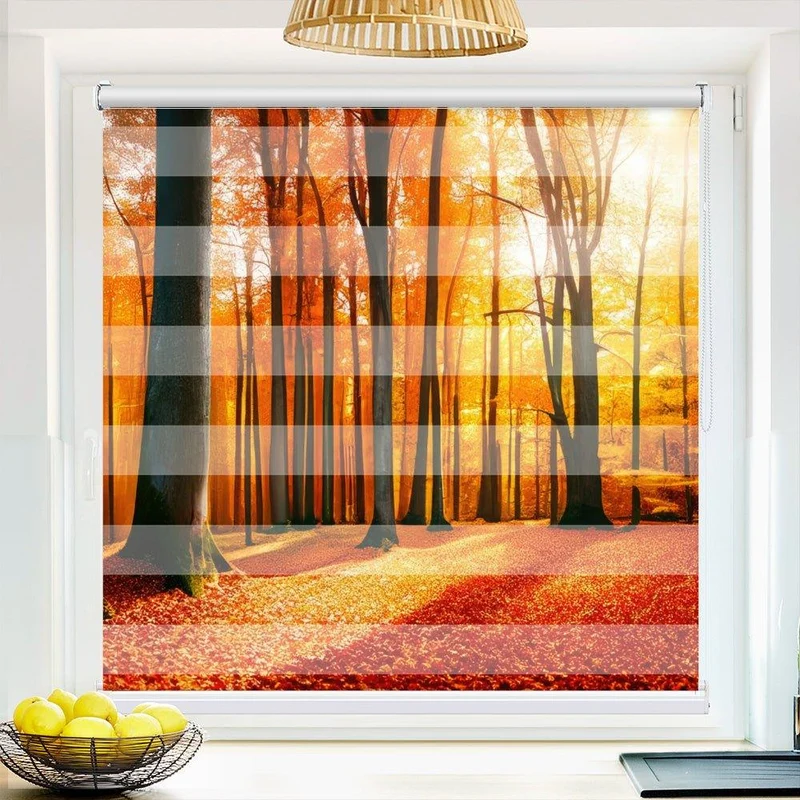 Klemmfix Doppelrollo "Herbst Wald Sonne" | Klemm Doppelrollo