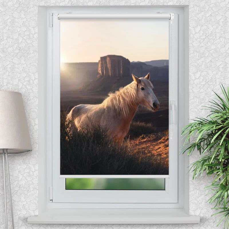 Klemmfix Rollo "Wildpferd Arizona" | Motiv-Klemmrollo