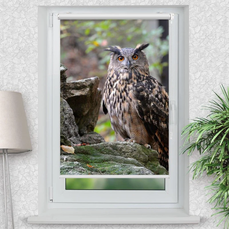 Klemmfix Rollo "Eule Wald Felsen" | Motiv-Klemmrollo
