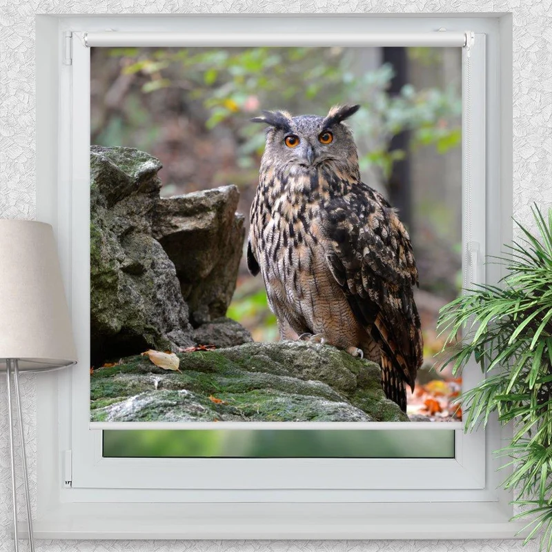 Klemmfix Rollo "Eule Wald Felsen" | Motiv-Klemmrollo