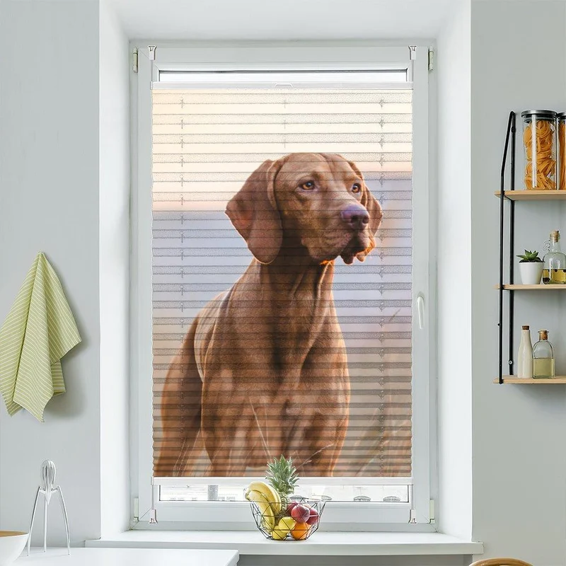 Wabenplissee Motiv "Jagdhund Vizsla Feld"