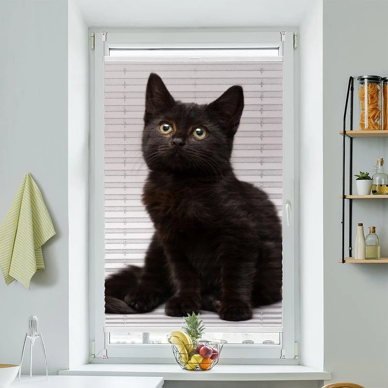 Wabenplissee Motiv "Katze Schwarz Kitten"