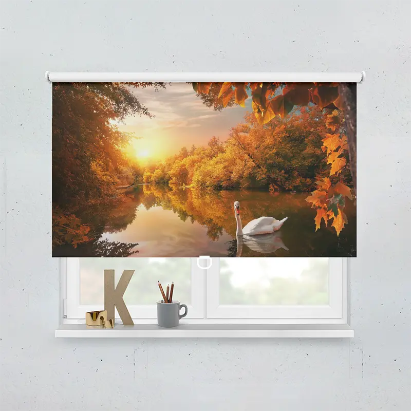 Springrollo Motiv "Schwan Auf Herbstteich"