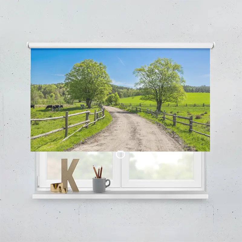 Springrollo Motiv "Landschaft Gras Kuehe"