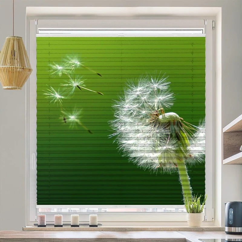 Plissee Motiv "Pusteblume"