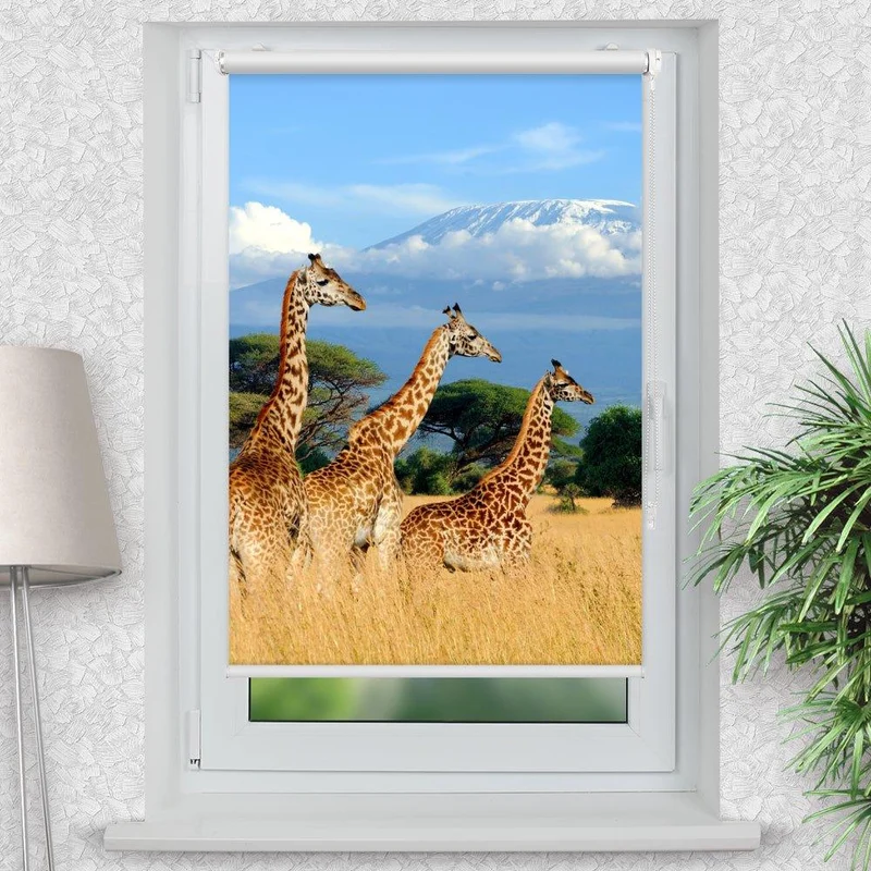 Klemmfix Rollo "Giraffen Afrika" | Motiv-Klemmrollo