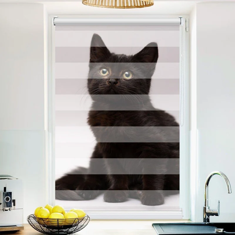 Klemmfix Doppelrollo "Schwarze Katze Kitten" | Klemm Doppelrollo