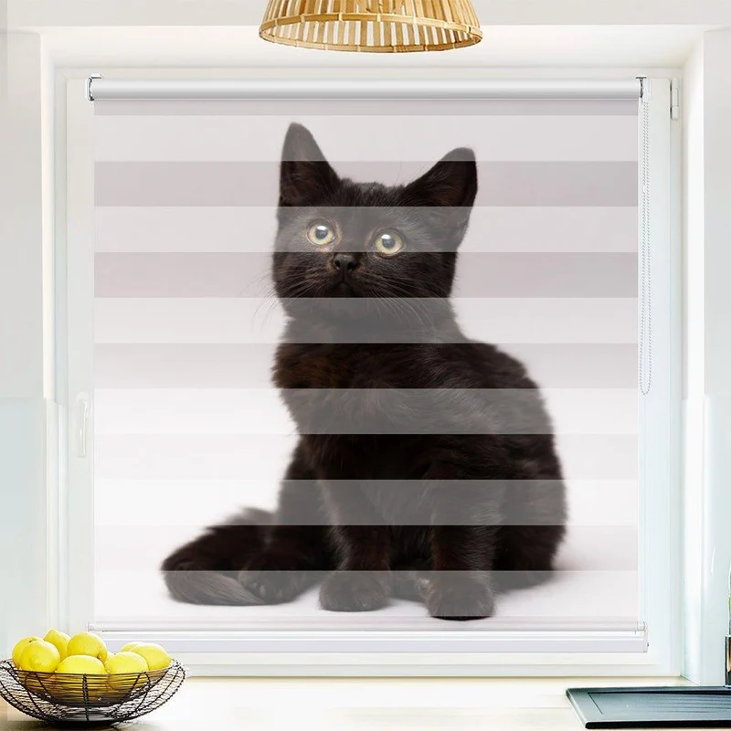 Klemmfix Doppelrollo "Schwarze Katze Kitten" | Klemm Doppelrollo