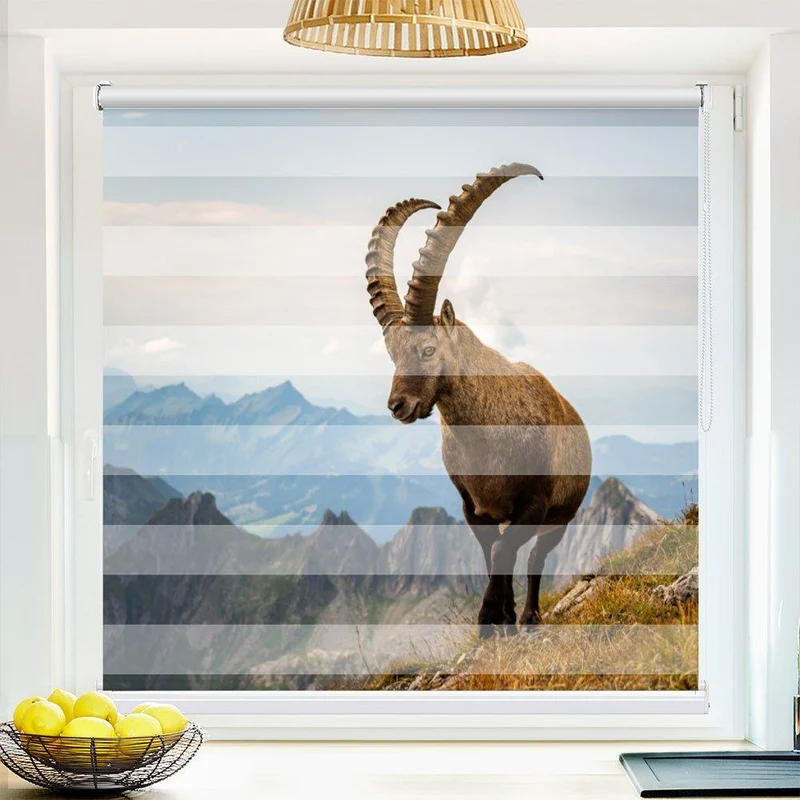 Klemmfix Doppelrollo "Steinbock Alpen" | Klemm Doppelrollo