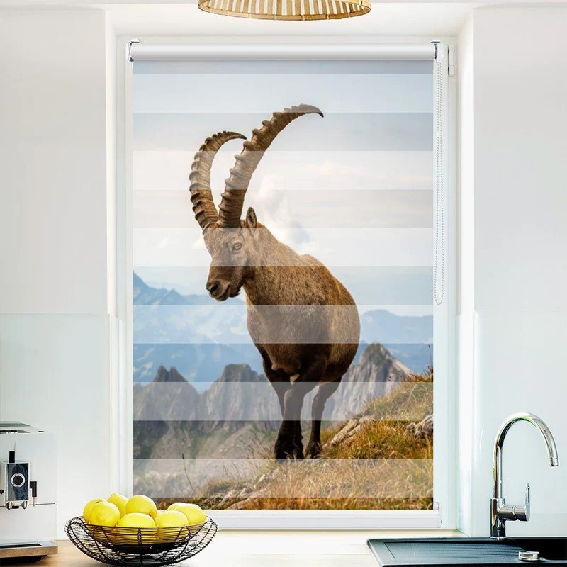 Klemmfix Doppelrollo "Steinbock Alpen" | Klemm Doppelrollo