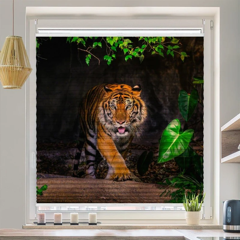Wabenplissee Motiv "Tiger Sumatra Indien"