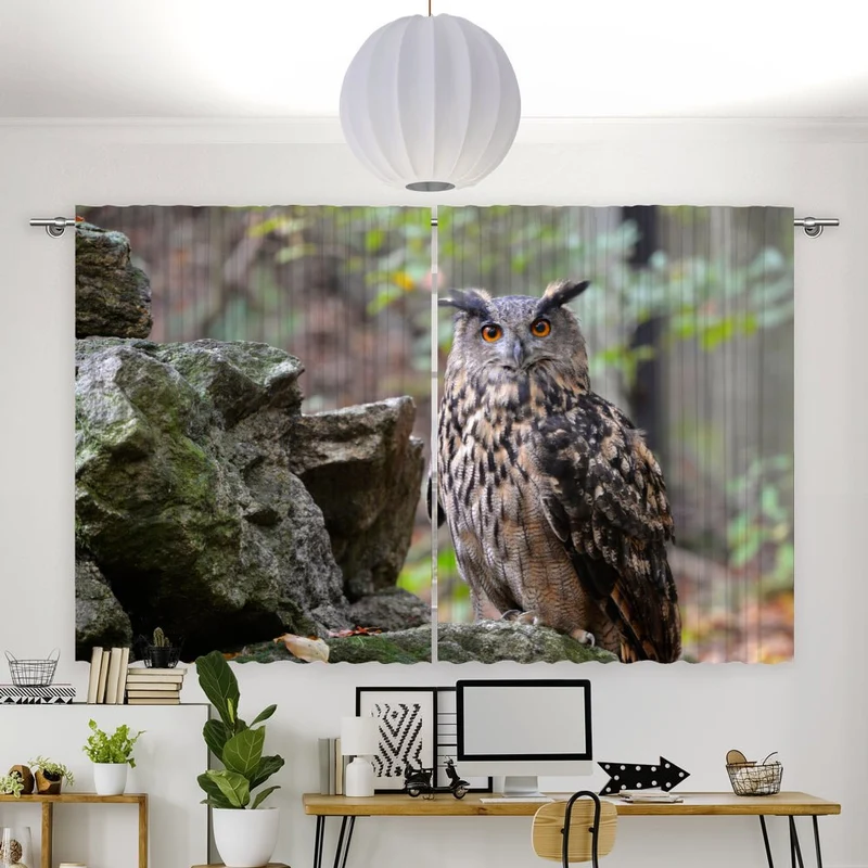 Vorhang Motiv "Eule Wald Felsen"