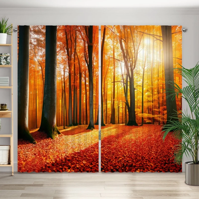 Vorhang Motiv "Herbstwald Sonne"