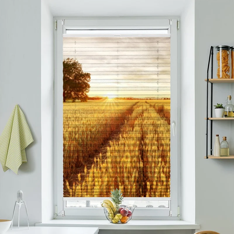 Wabenplissee Motiv "Kornfeld Sonnenuntergang"