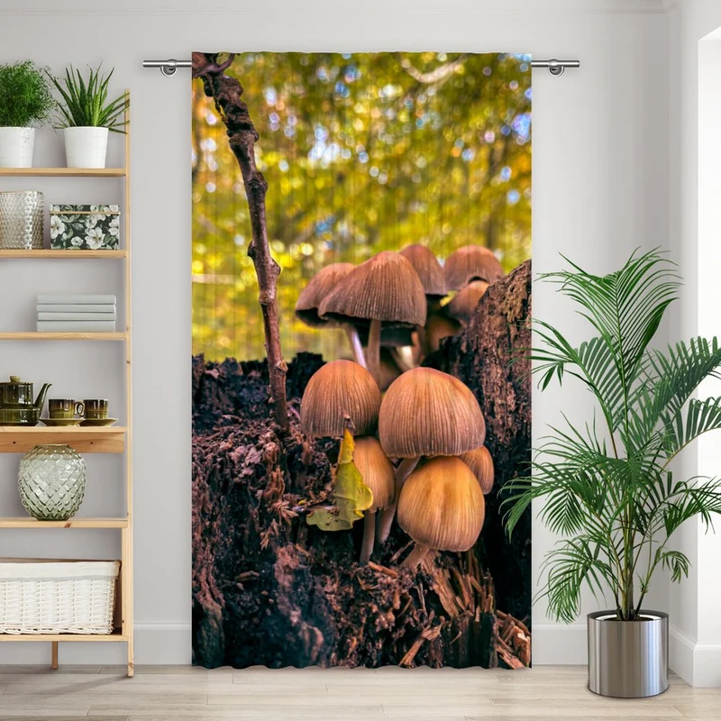 Vorhang Motiv "Pilze Wald Baumstumpf"