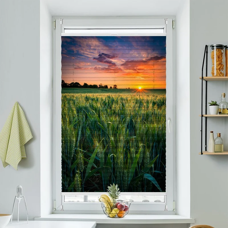 Wabenplissee Motiv "Kornfeld Sonnenuntergang"