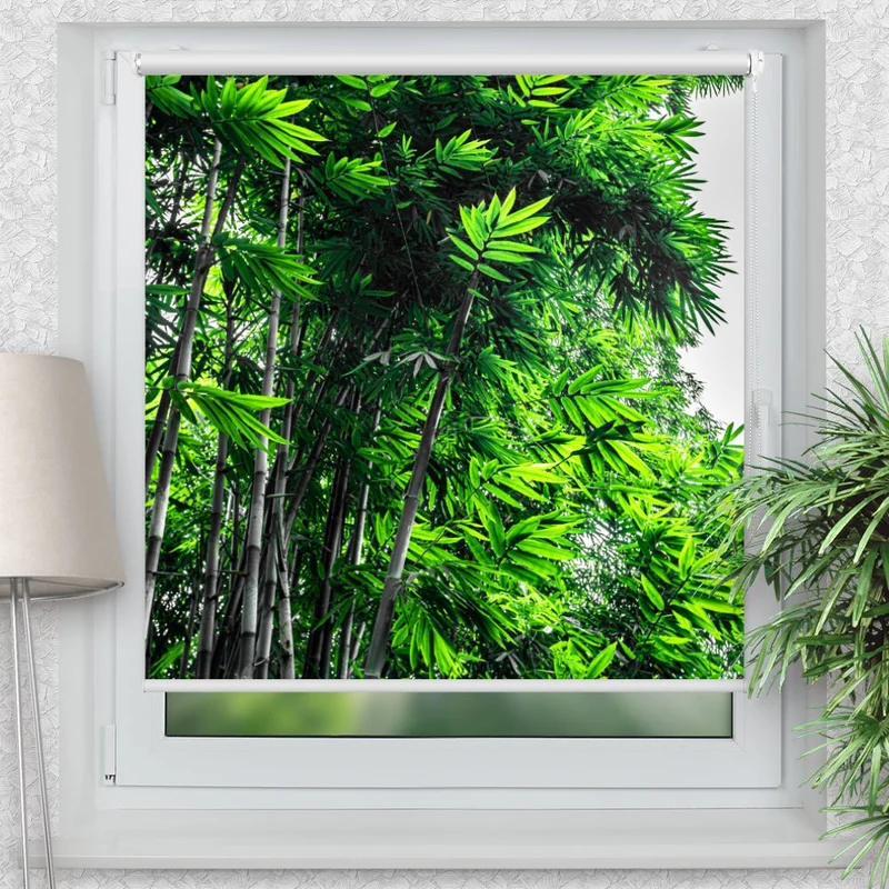 Klemmfix Rollo "Bambus Wald Urwald" | Motiv-Klemmrollo