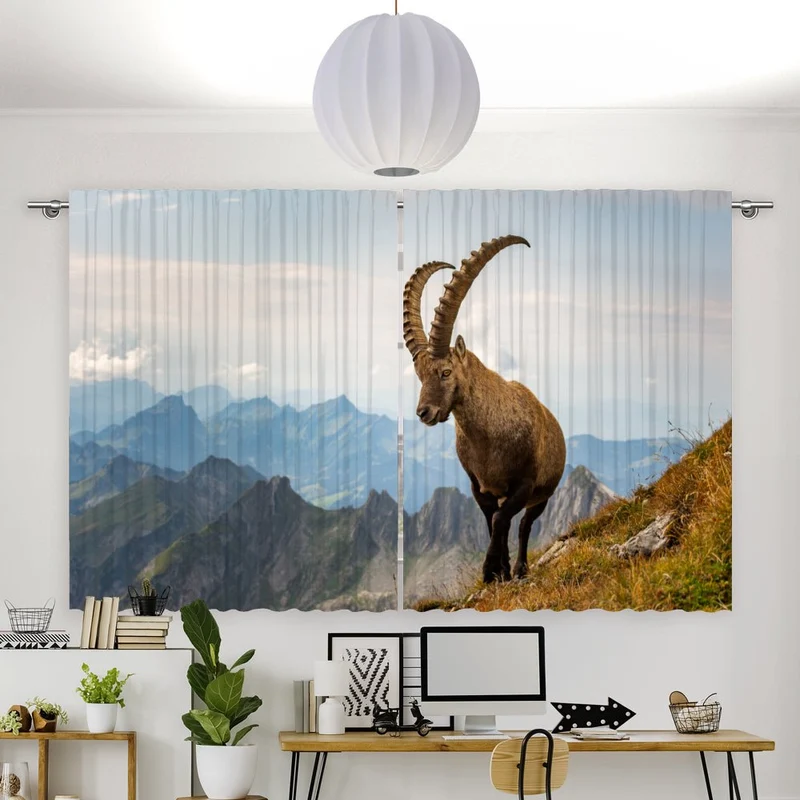 Vorhang Motiv "Steinbock Alpen Berge"