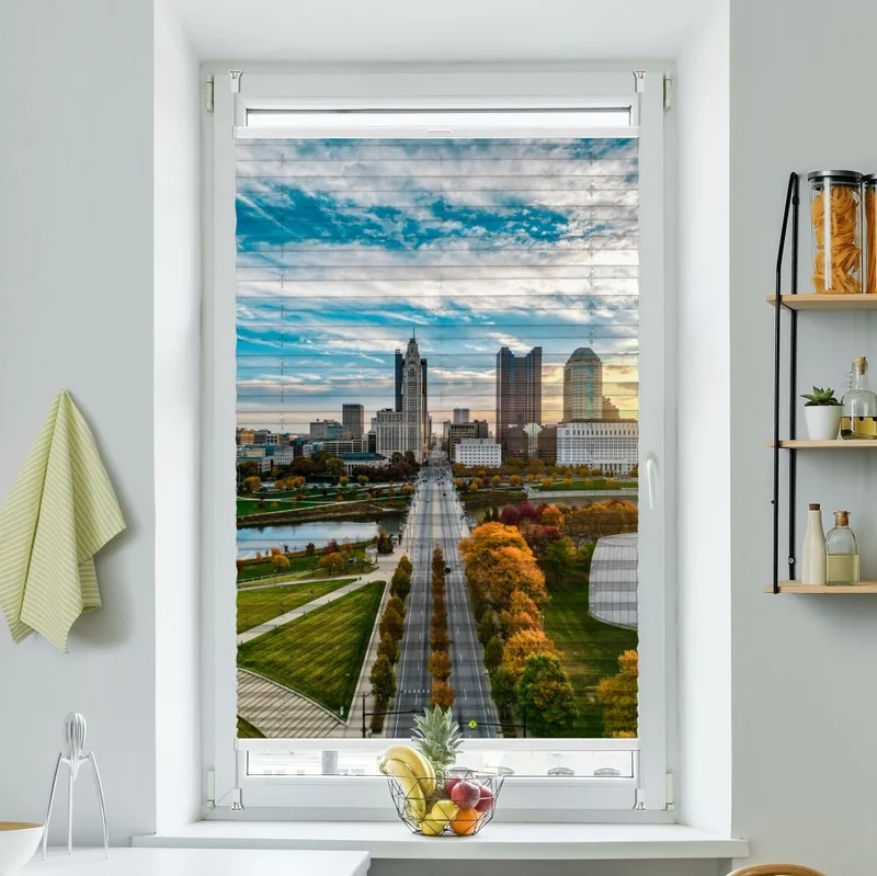 Wabenplissee Motiv 'Downtown City Skyline'