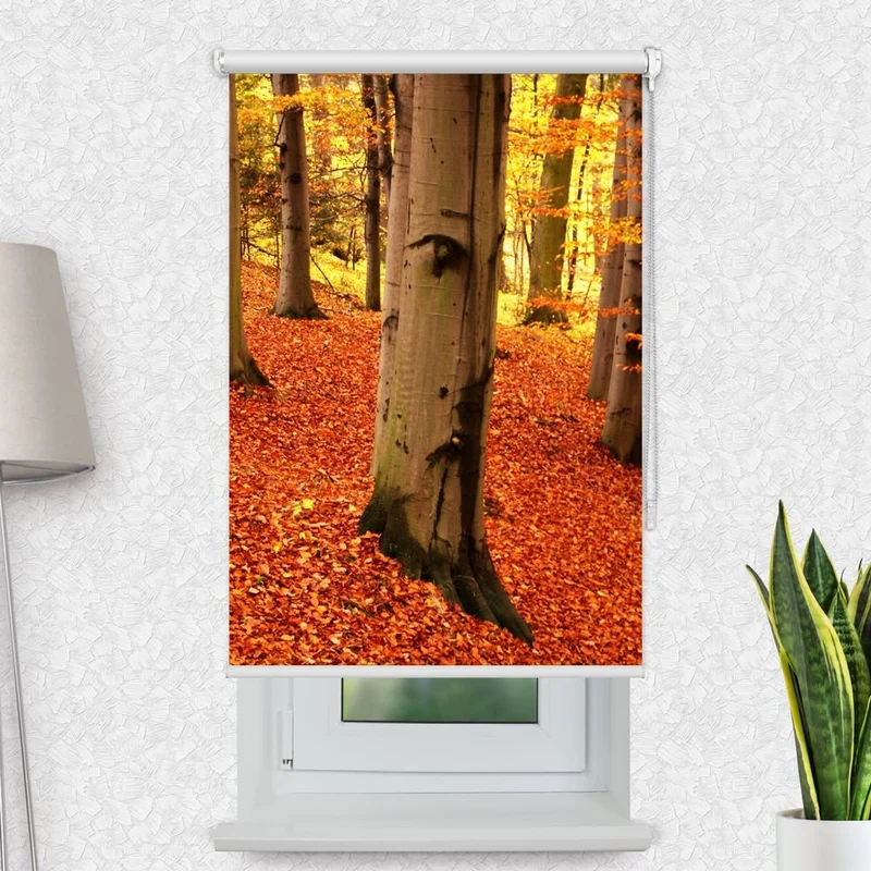 Motivrollo 'Baum Im Herbst Mit Gesicht' | Bis B 430 x H 440 cm