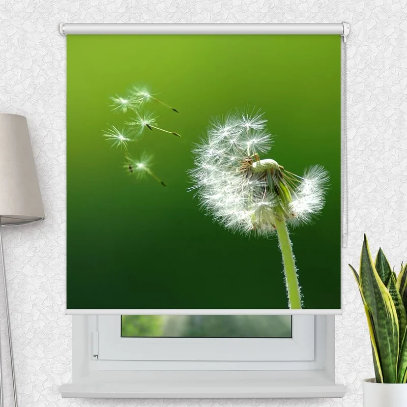 Motivrollo 'Pusteblume Pusteblume' | Bis B 430 x H 440 cm