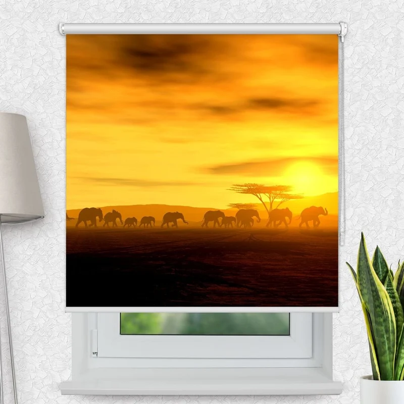 Motivrollo 'Afrika Elefanten' | Bis B 430 x H 440 cm