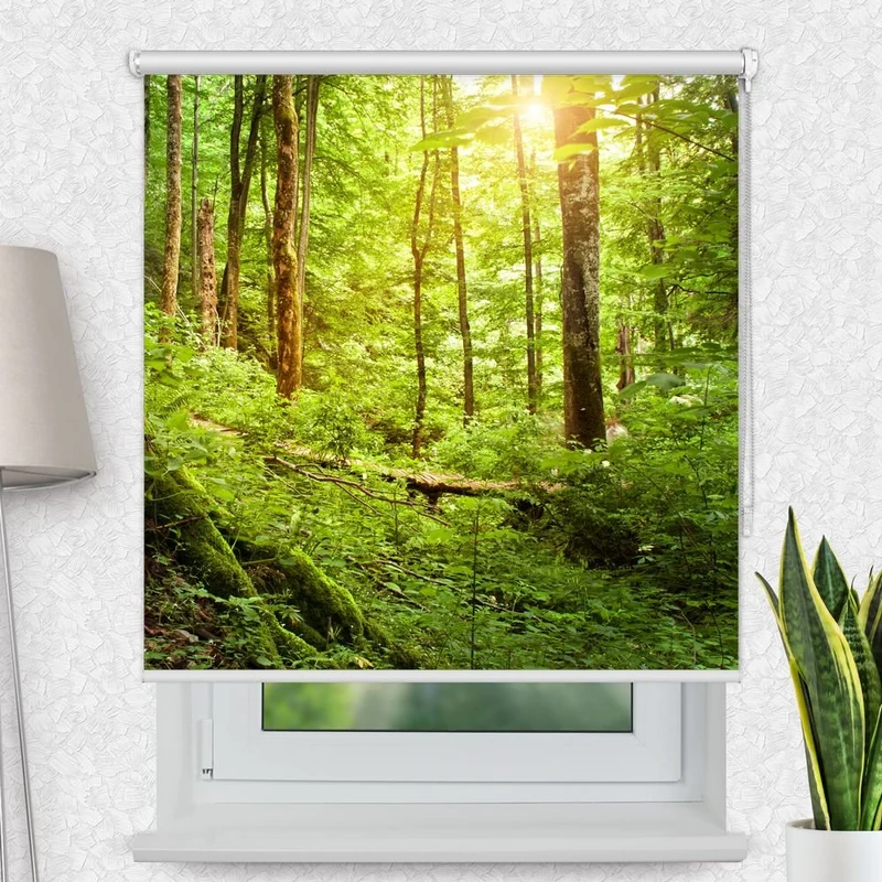 Motivrollo 'Wald Wald' | Bis B 430 x H 440 cm