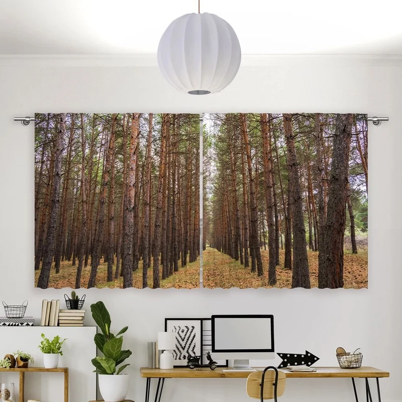 Vorhang Motiv 'Kiefernwald'