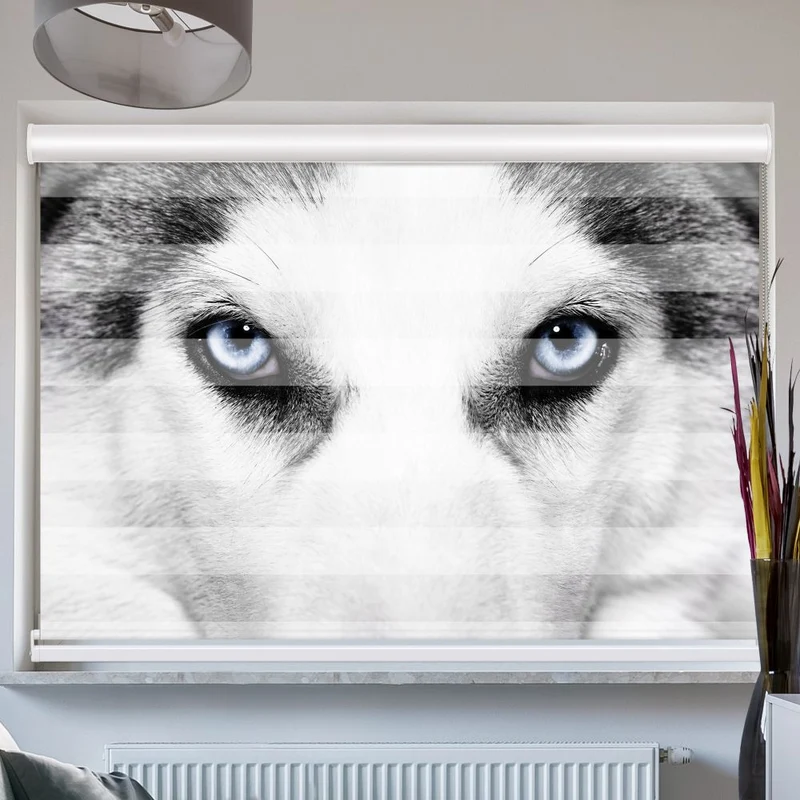Doppelrollo mit Kassette "Wolf Augen"