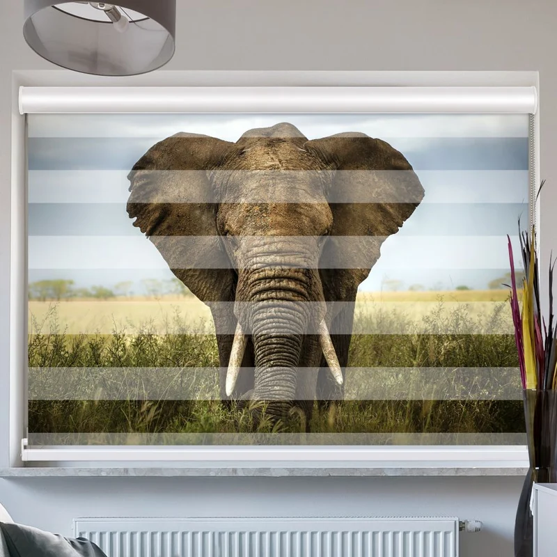 Doppelrollo mit Kassette "Elefant"