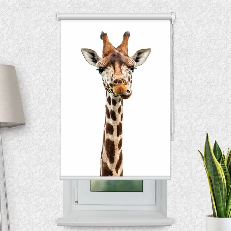 Motivrollo 'Giraffe Giraffe' | Bis B 430 x H 440 cm