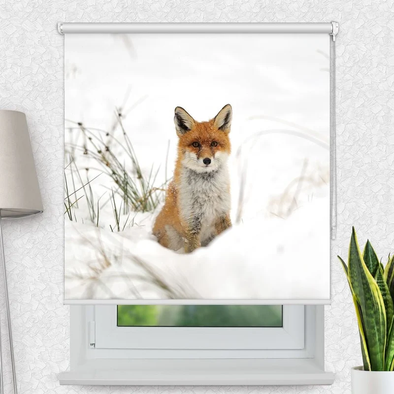 Motivrollo 'Fuchs Im Schnee' | Bis B 430 x H 440 cm