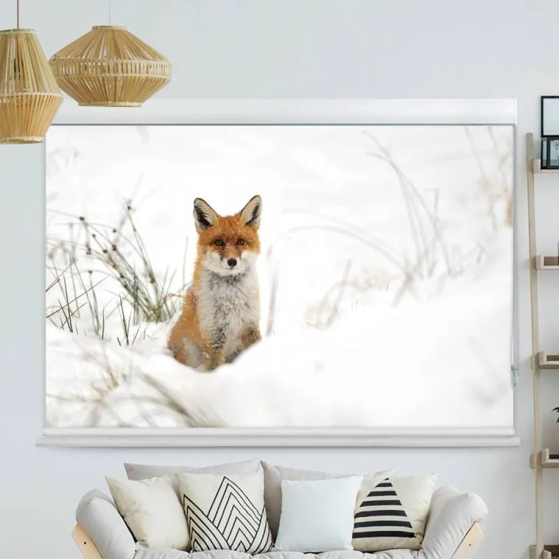 Kassettenrollo Motiv "Fuchs Im Schnee" | bis B 420 x H 420 cm