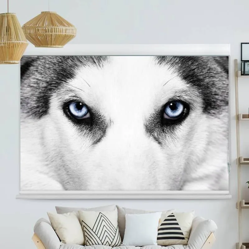 Kassettenrollo Motiv "Wolf Augen" | bis B 420 x H 420 cm