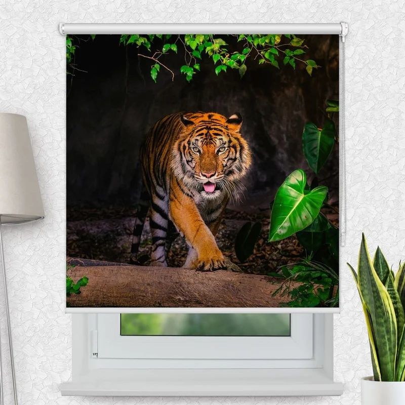 Motivrollo 'Tiger Indien' | Bis B 430 x H 440 cm