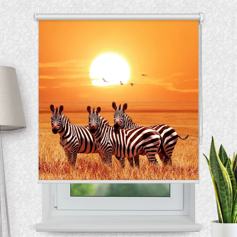 Motivrollo 'Zebras Afrika Savanne' | Bis B 430 x H 440 cm