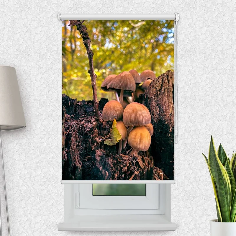 Motivrollo 'Wald Pilze' | Bis B 430 x H 440 cm