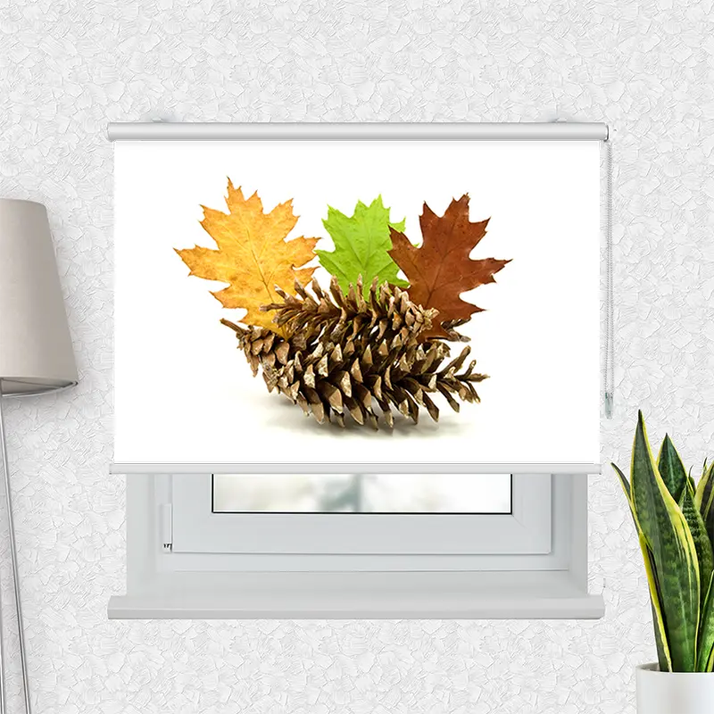 Motivrollo "Herbstdekoration" | Bis B 430 x H 440 cm