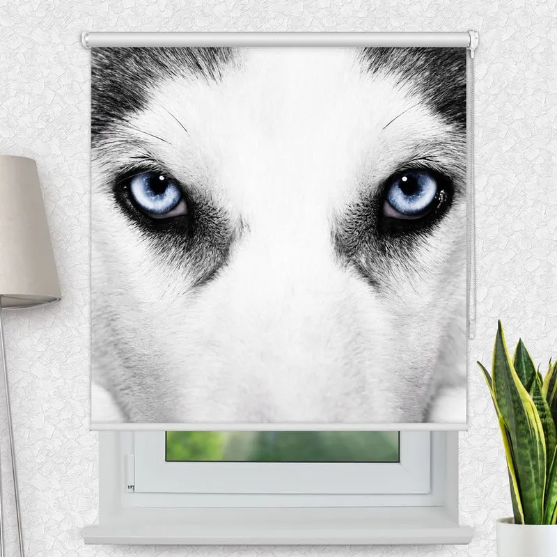 Motivrollo 'Wolf Augen' | Bis B 430 x H 440 cm