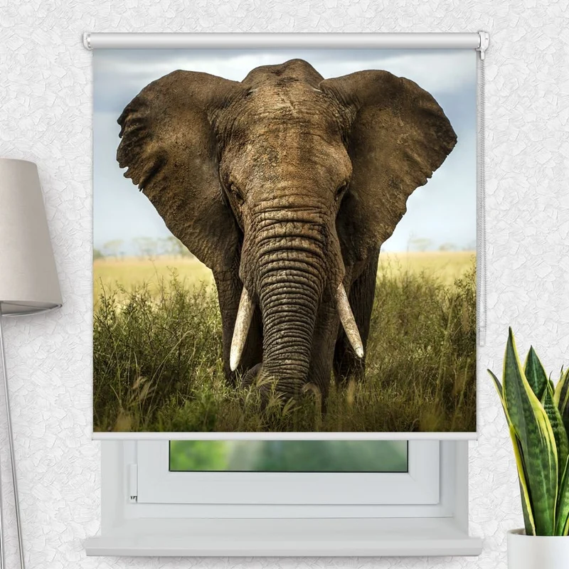 Motivrollo 'Elefant Elefant' | Bis B 430 x H 440 cm