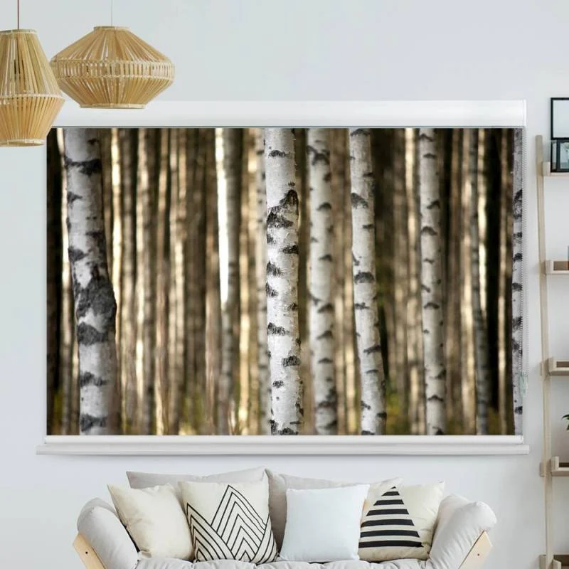 Kassettenrollo Motiv "Birkenstamm" | bis B 420 x H 420 cm