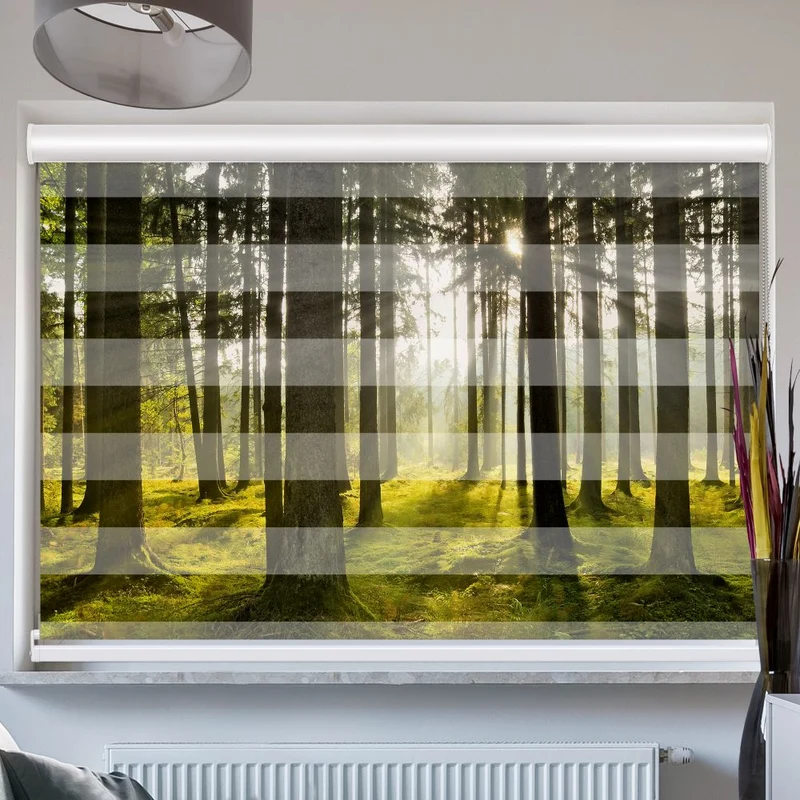 Doppelrollo mit Kassette "Sonnenstrahlen Im Wald"