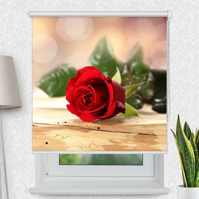 Motivrollo 'Rote Rose' | Bis B 430 x H 440 cm