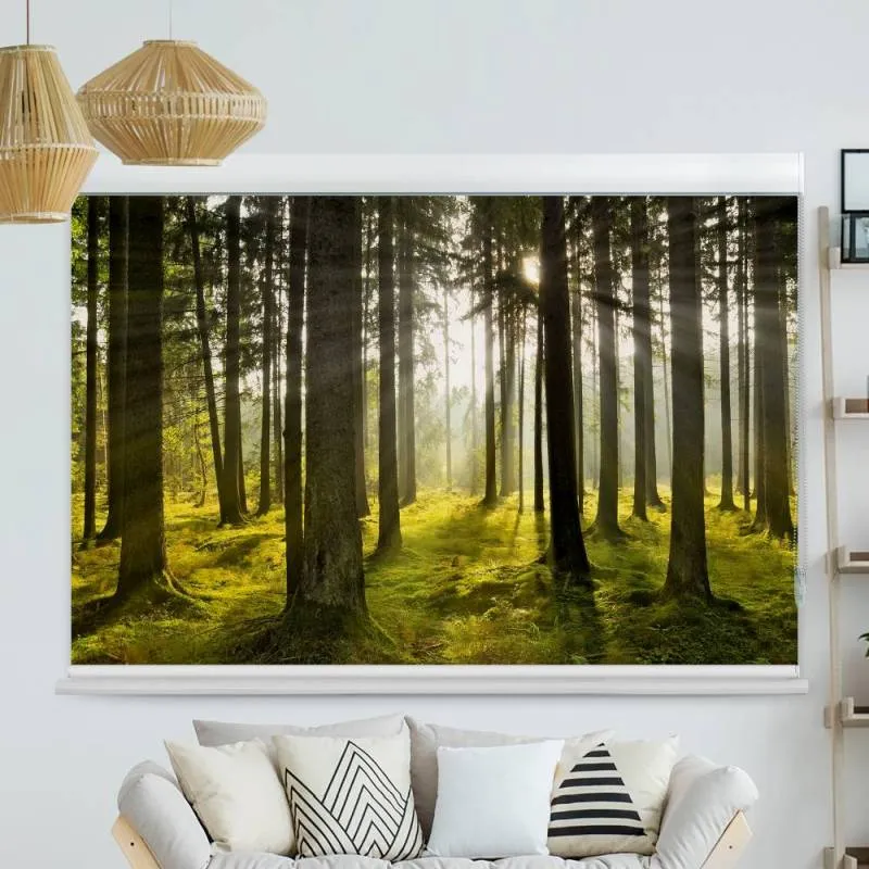 Kassettenrollo Motiv "Sonnenstrahlen Im Wald" | bis B 420 x H 420 cm