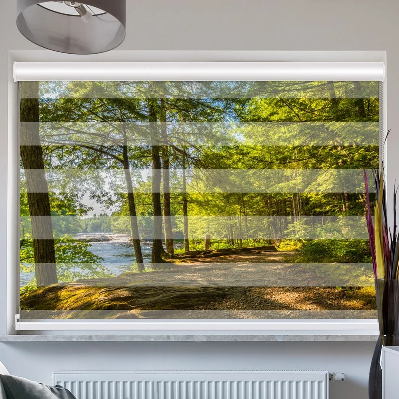 Doppelrollo mit Kassette "Wald See"