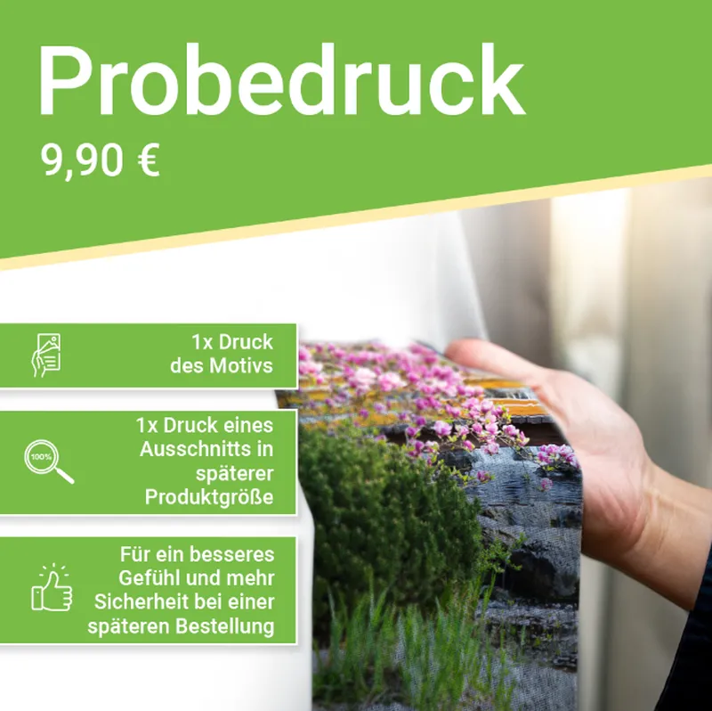 Probedruck