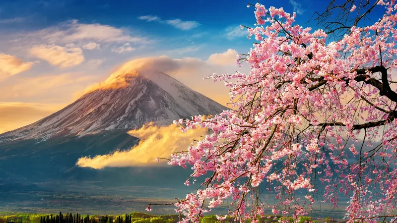 Schiebegardine Motiv "Fuji im Frühling mit Kirschblüten"