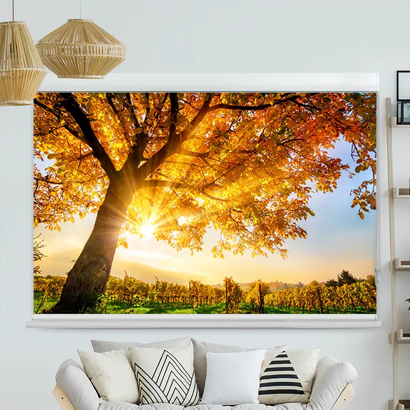 Kassettenrollo Motiv "Baum Herbst Sonnenschein" | bis B 420 x H 420 cm