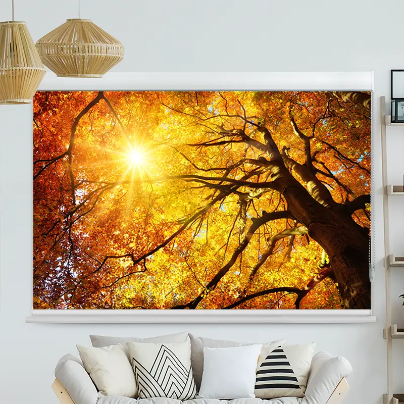 Kassettenrollo Motiv "Baumkrone Herbst Sonnenschein" | bis B 420 x H 420 cm