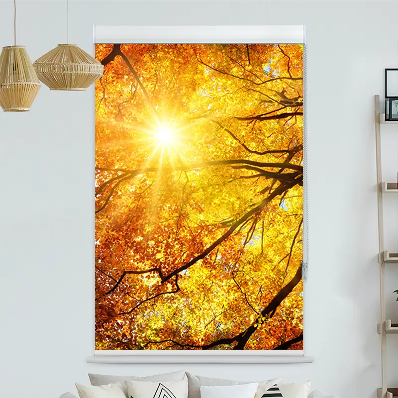 Kassettenrollo Motiv "Baumkrone Herbst Sonnenschein" | bis B 420 x H 420 cm